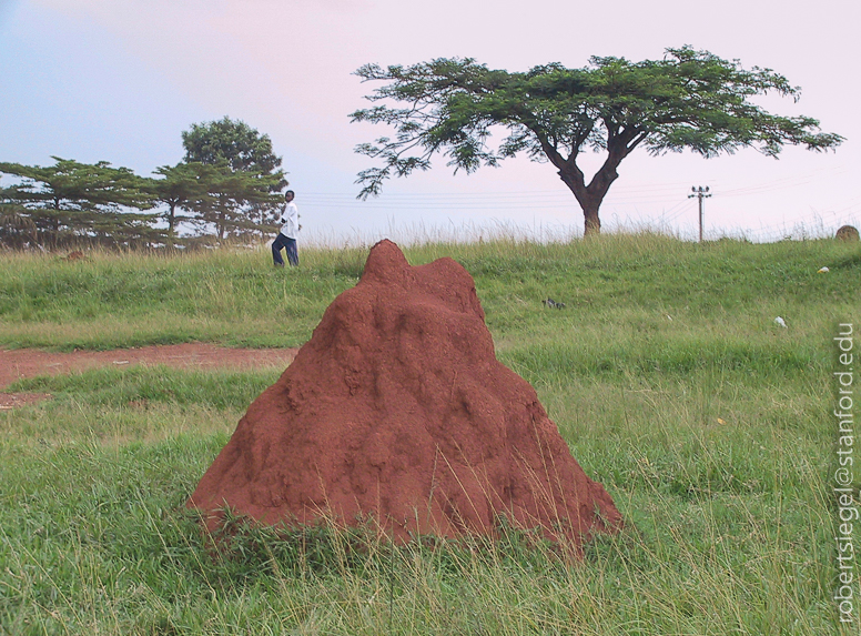 uganda virus research institute